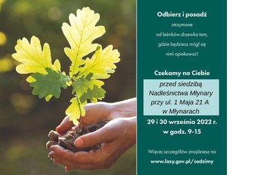 Zdjęcie do #sadziMY (29-30.09.2022 r.)
